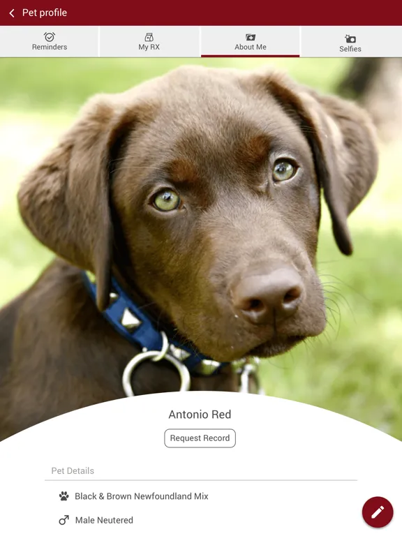 Wimberley Vet Clinic iPad  Screenshots