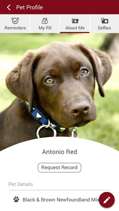 Wimberley Vet Clinic Screenshots
