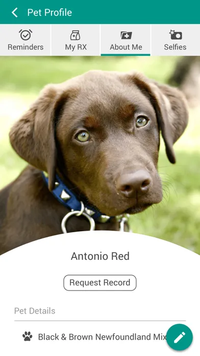 Capturas de pantalla de Centerville Animal Hospital