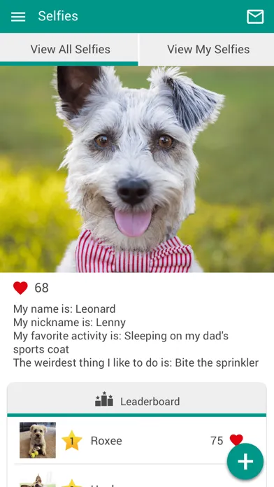 Capturas de pantalla de Centerville Animal Hospital