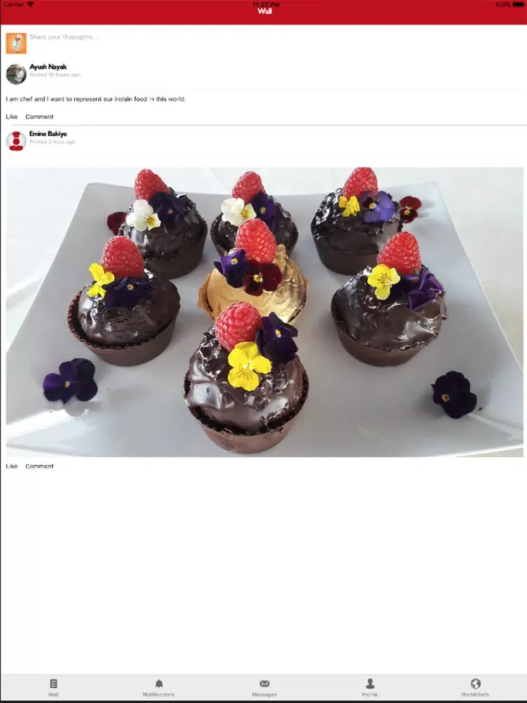 ภาพหน้าจอของ WORLDCHEFS iPad 