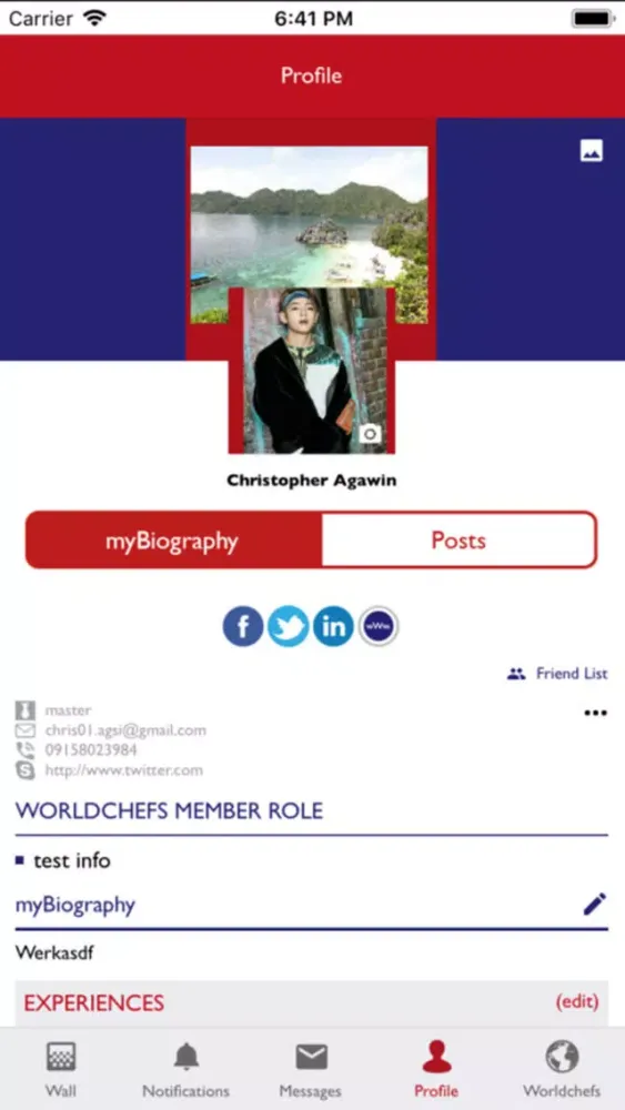 ภาพหน้าจอของ WORLDCHEFS
