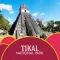 Tikal National Park Travel Guide