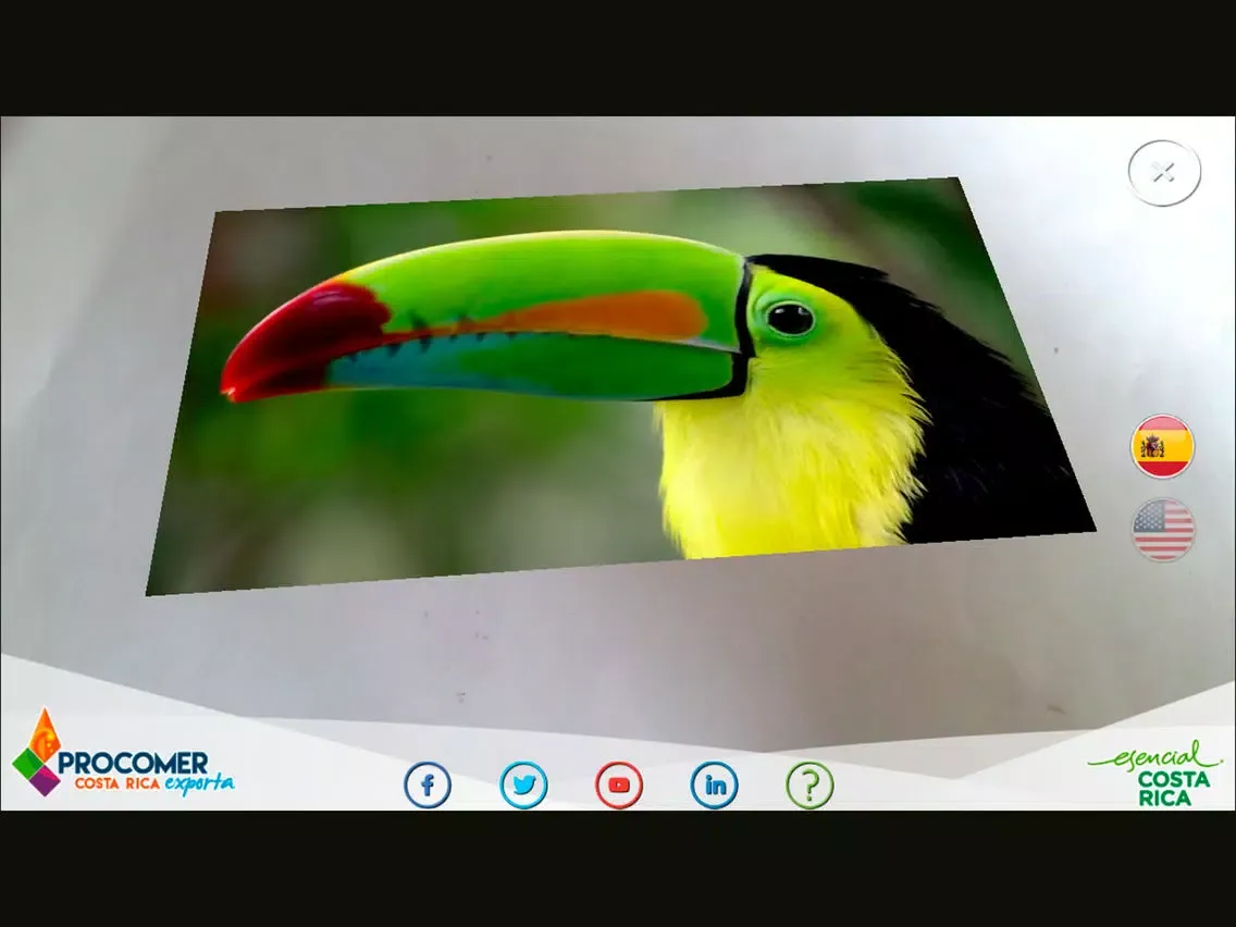 Ảnh chụp màn hình của Esencial CR iPad 