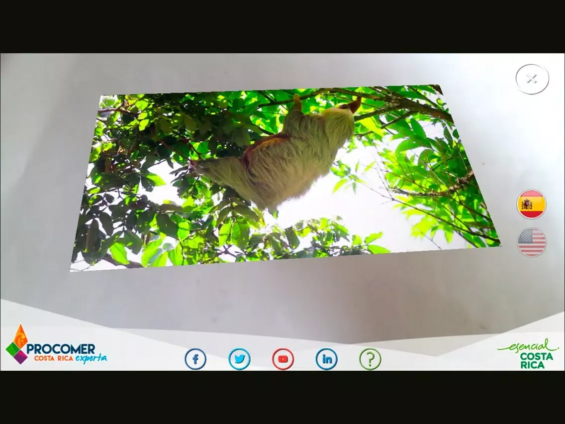 Ảnh chụp màn hình của Esencial CR iPad 