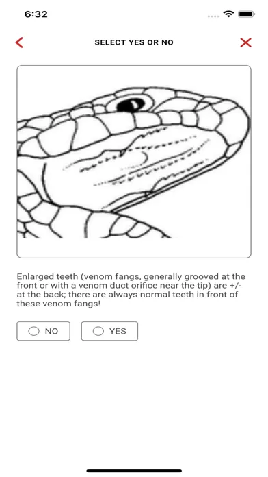 The Snakebite Assistant应用截图
