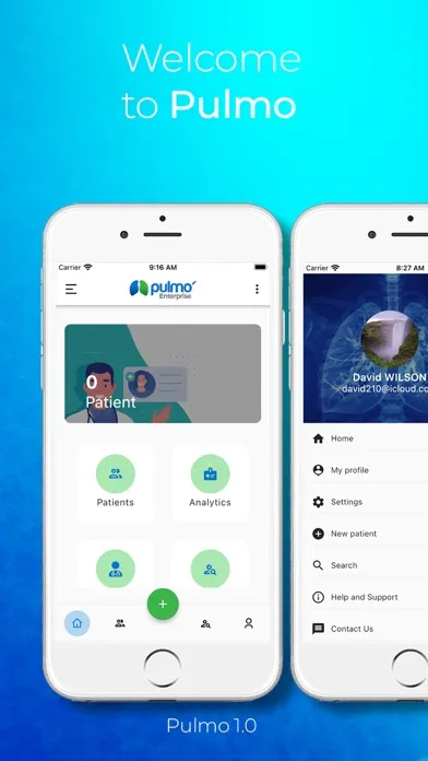 Screenshot di Pulmo Enterprise Version