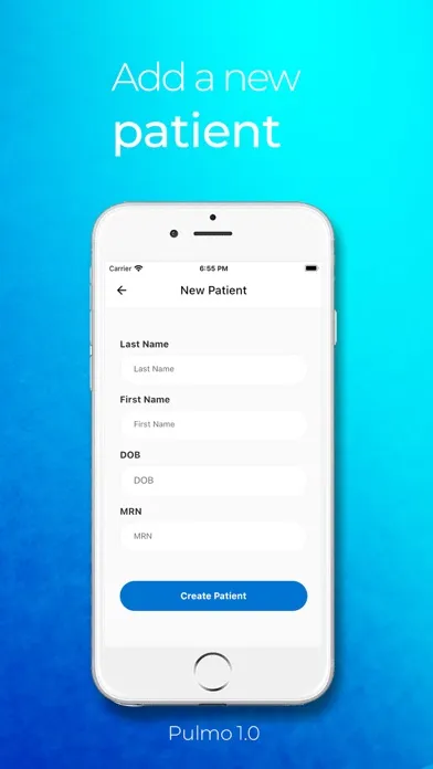 Screenshot di Pulmo Enterprise Version