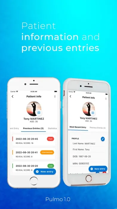 Screenshot di Pulmo Enterprise Version