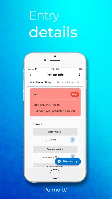 Screenshot di Pulmo Enterprise Version