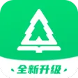 红杉树智能英语