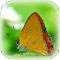 Natural Wallpaper