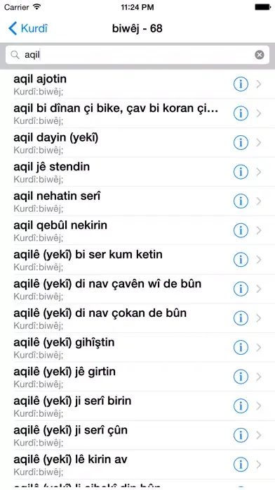WQFerheng - Kurdish Dictionary Ekran Görüntüleri