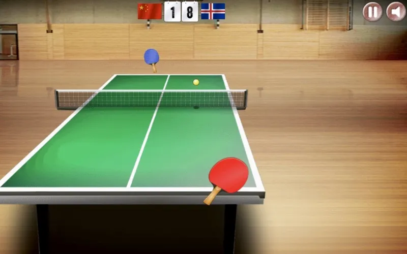 ภาพหน้าจอของ Virtual Table Tennis Ping Pong