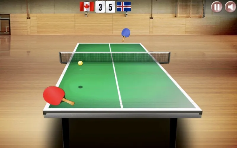 ภาพหน้าจอของ Virtual Table Tennis Ping Pong