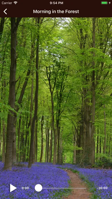 Relaxing Nature Sounds Screenshots