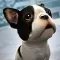 My Puppy Dog: Animal Runner 3D