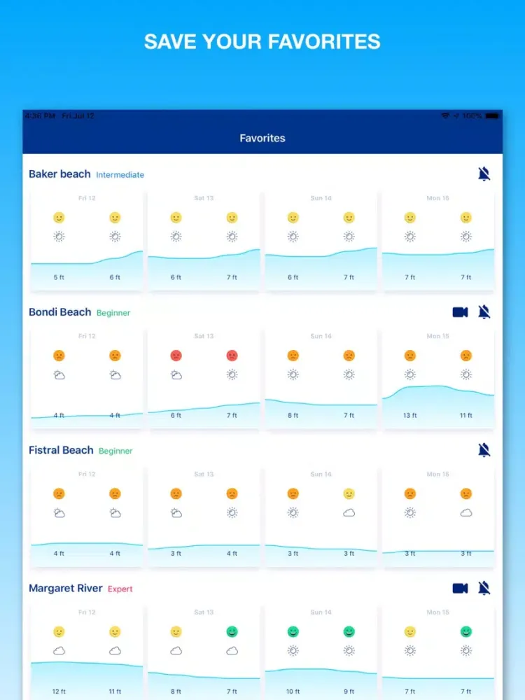 Weesurf, wave & wind forecast iPad  Screenshots