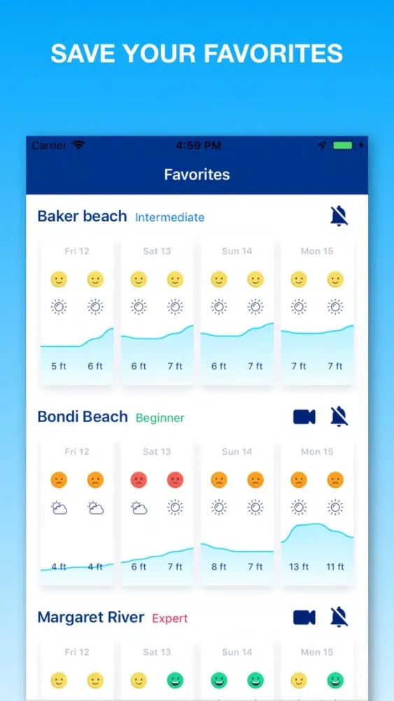 Weesurf, wave & wind forecast Screenshots