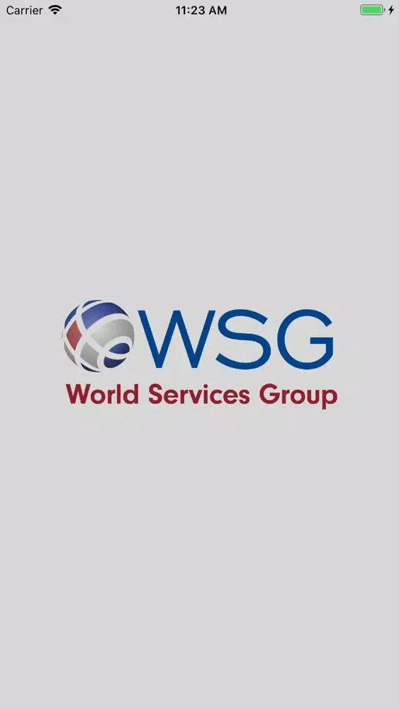 Скриншоты WSG Meetings