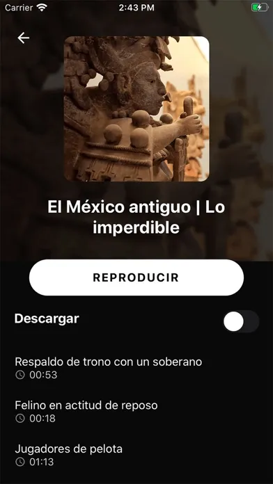 Museo Amparo Plus سکرین شاٹس