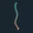 Spinal System