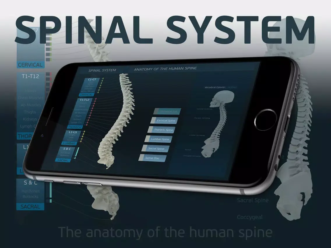 Spinal System iPad  スクリーンショット