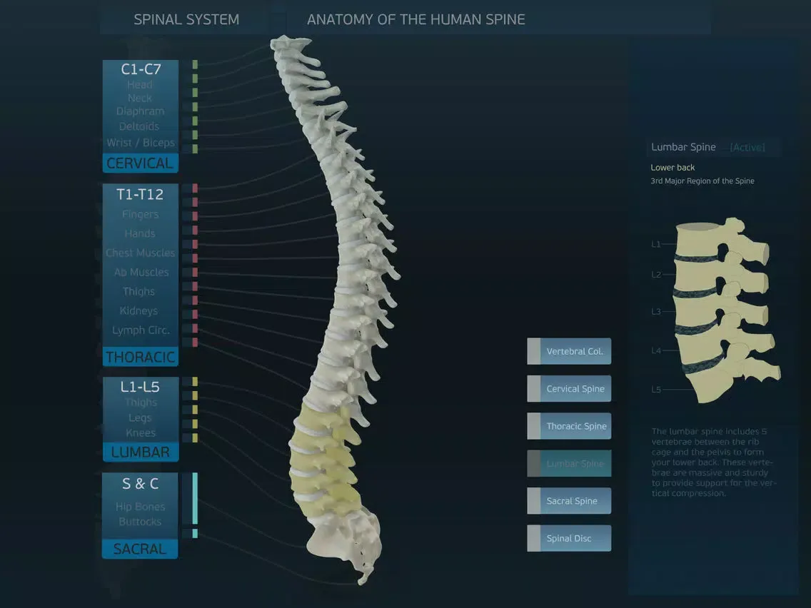 Spinal System iPad  スクリーンショット