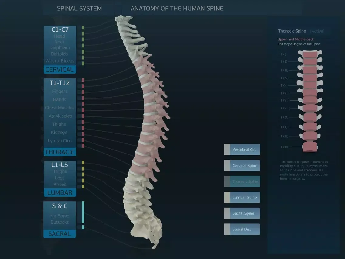 Spinal System iPad  スクリーンショット