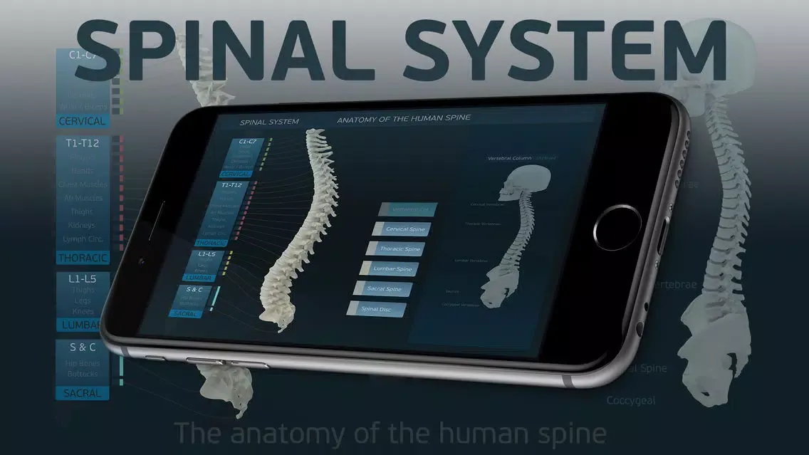 Spinal System スクリーンショット