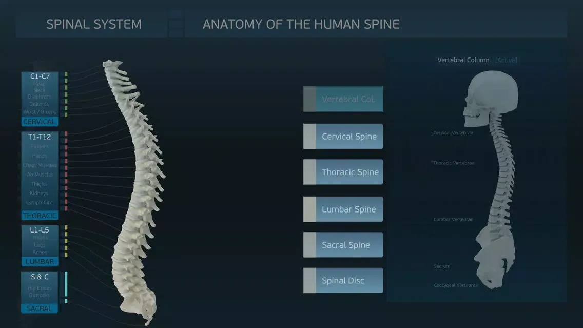 Spinal System スクリーンショット