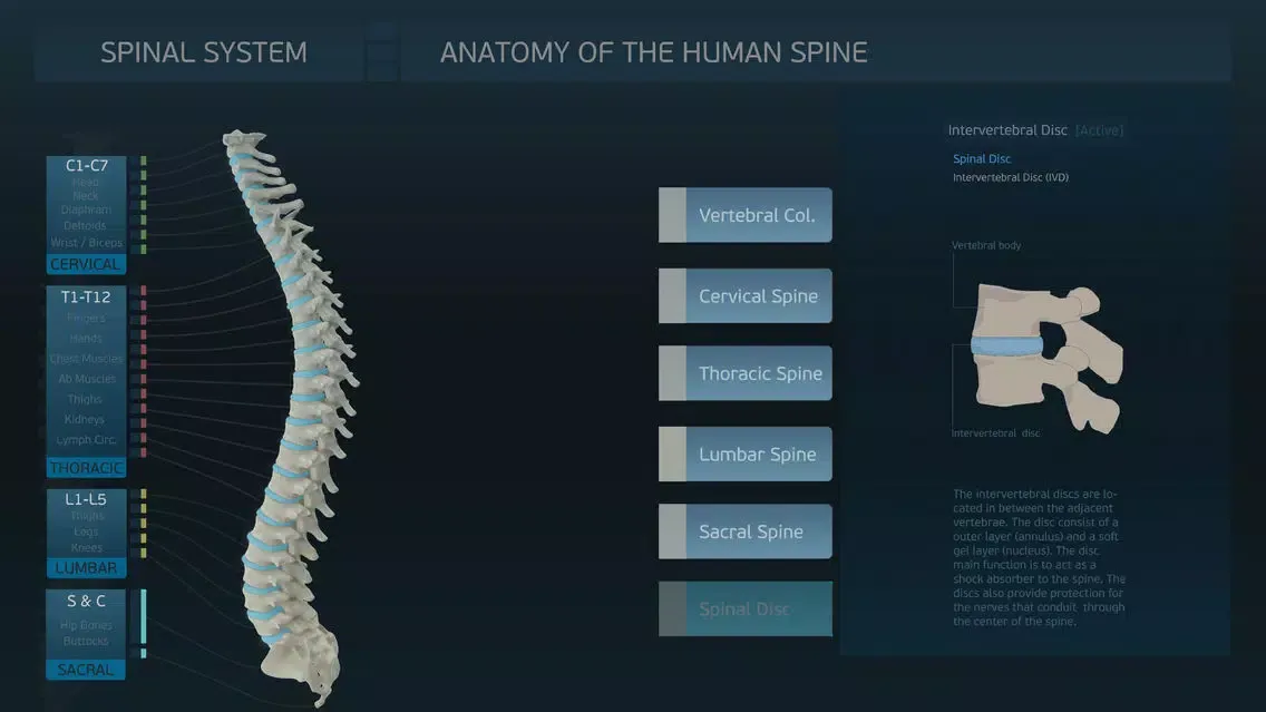 Spinal System スクリーンショット