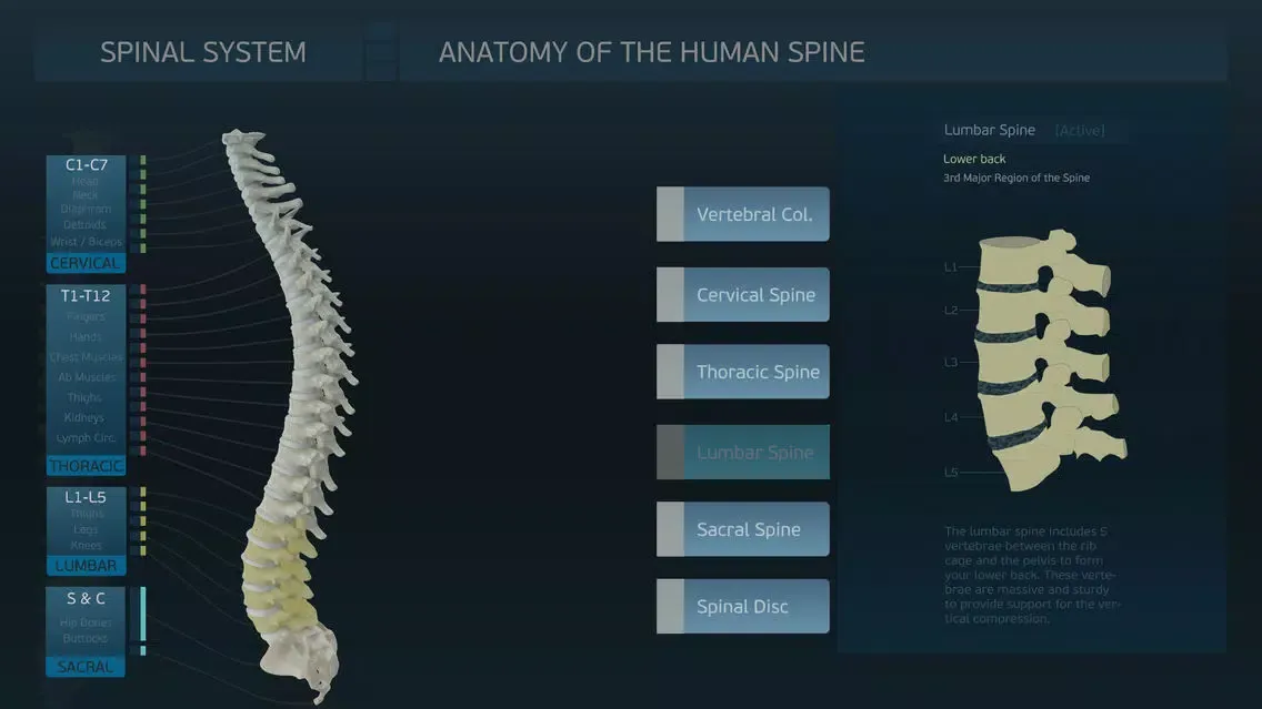 Spinal System スクリーンショット