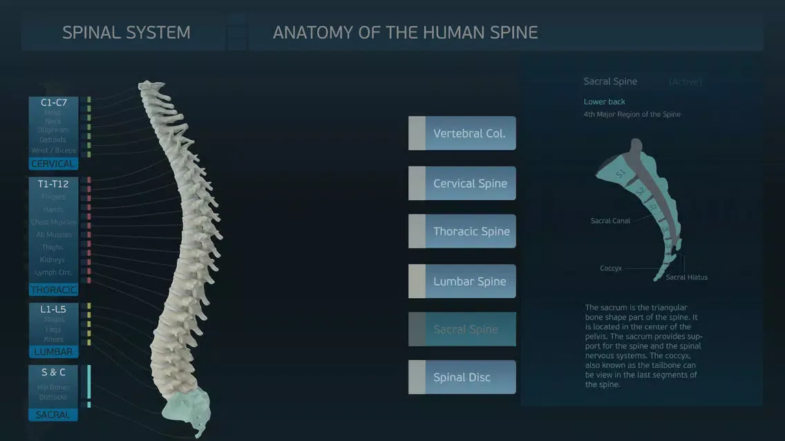 Spinal System スクリーンショット