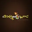 Mathrubhumi CartoonPlus Magazine Mathrubhumi CartoonPlus Magazine