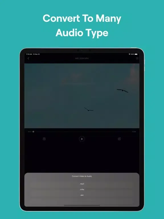 VidMate - Music Video Player iPad 应用截图