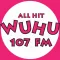 WUHU 107 FM