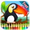 Birds Coloring Book - Drawing and Painting Colorful for kids games free