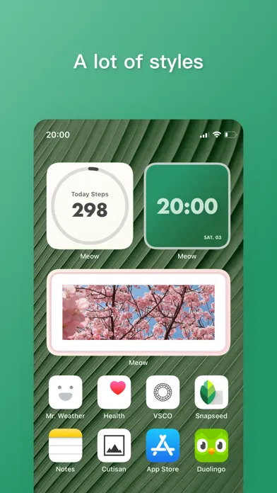 Screenshot di Meow - Custom Widgets