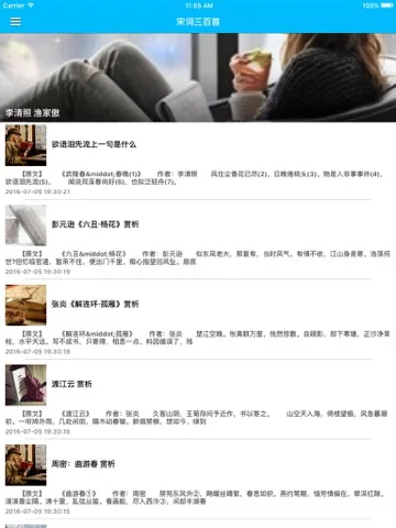 宋词鉴赏大全 - 每日一文中华好诗词，宋词三百首诗词赏析合集 iPad 应用截图