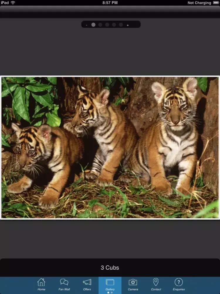 WWF Malaysia iPad  Ekran Görüntüleri