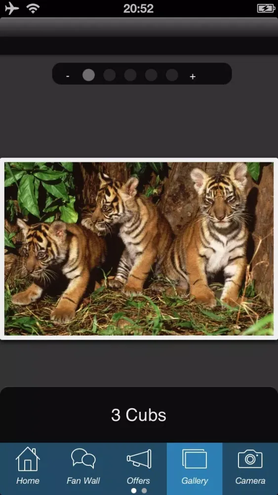 WWF Malaysia Ekran Görüntüleri