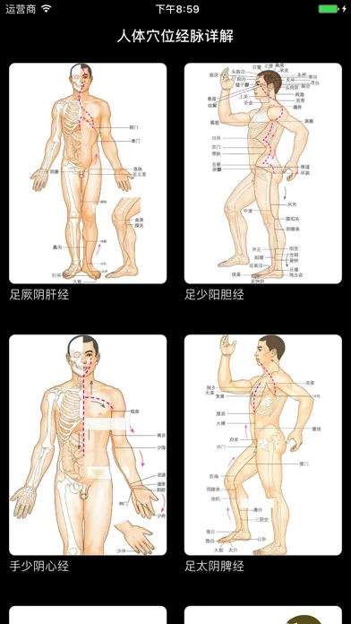 穴位经脉详解-养生保健针灸最佳参考手册 Screenshots