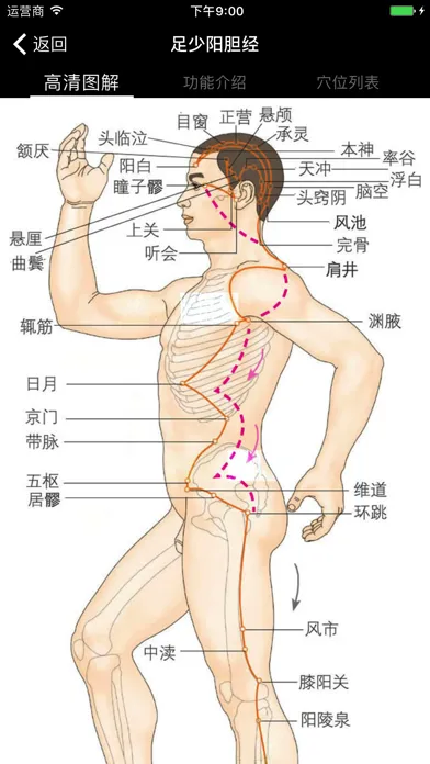 穴位经脉详解-养生保健针灸最佳参考手册 Screenshots