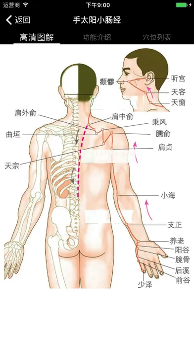 穴位经脉详解-养生保健针灸最佳参考手册 Screenshots