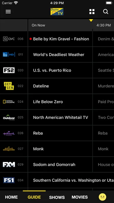 DotteTV Screenshots