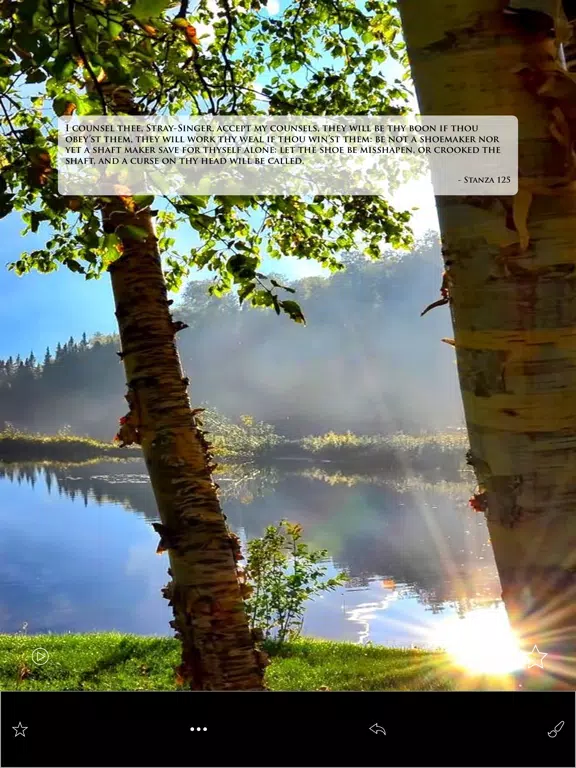 Pocket Havamal - Daily Asatru Meditations of Wisdom from Odin - Olive Bray Translation iPad 应用截图