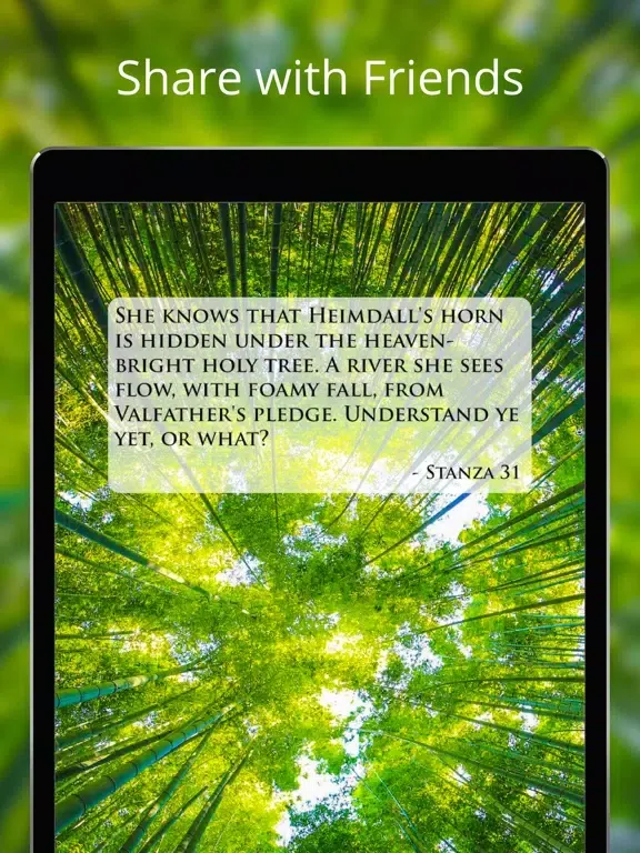 Captures d'écran de Pocket Voluspa - Daily Insights of Asatru and Odinism iPad 
