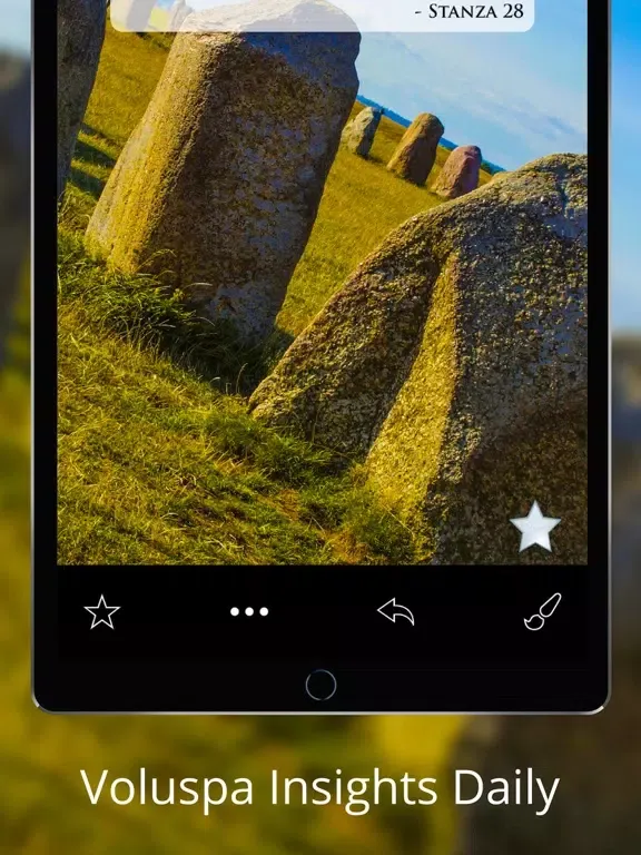 Captures d'écran de Pocket Voluspa - Daily Insights of Asatru and Odinism iPad 