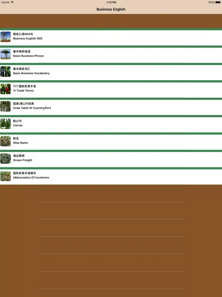 Zrzuty ekranu 商务英语知识 iPad 